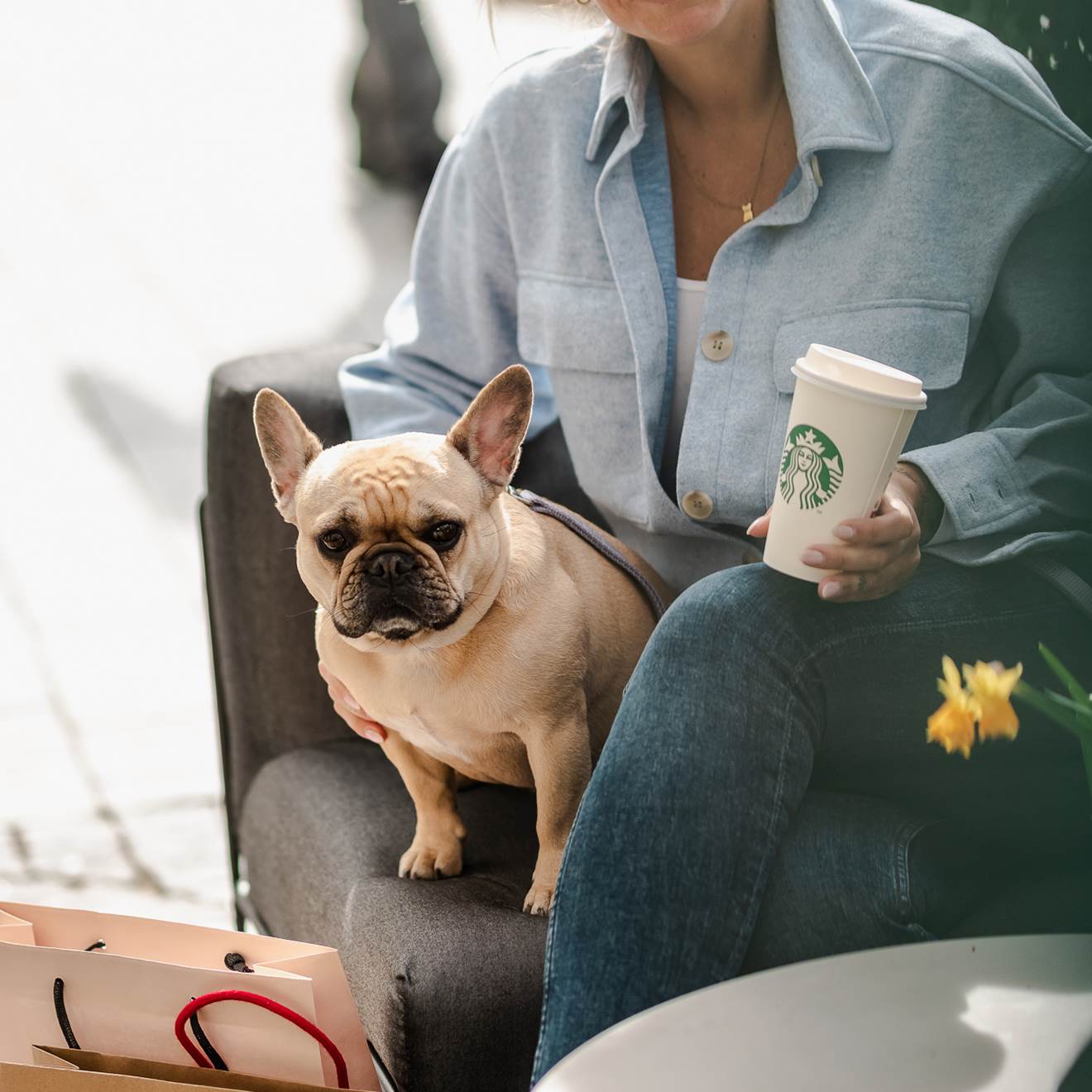 Dog friendly