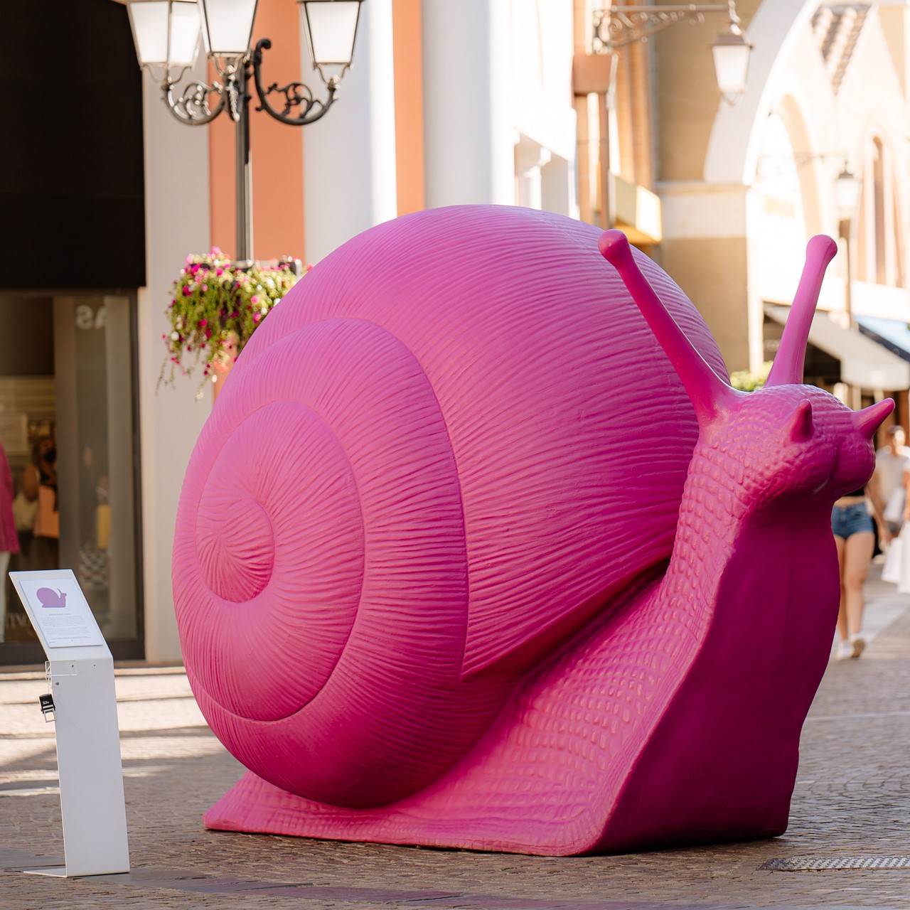 Snail