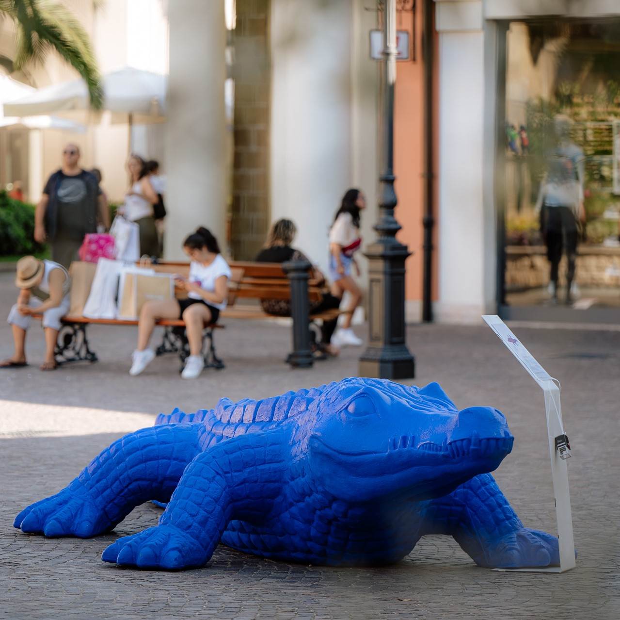 Alligator
