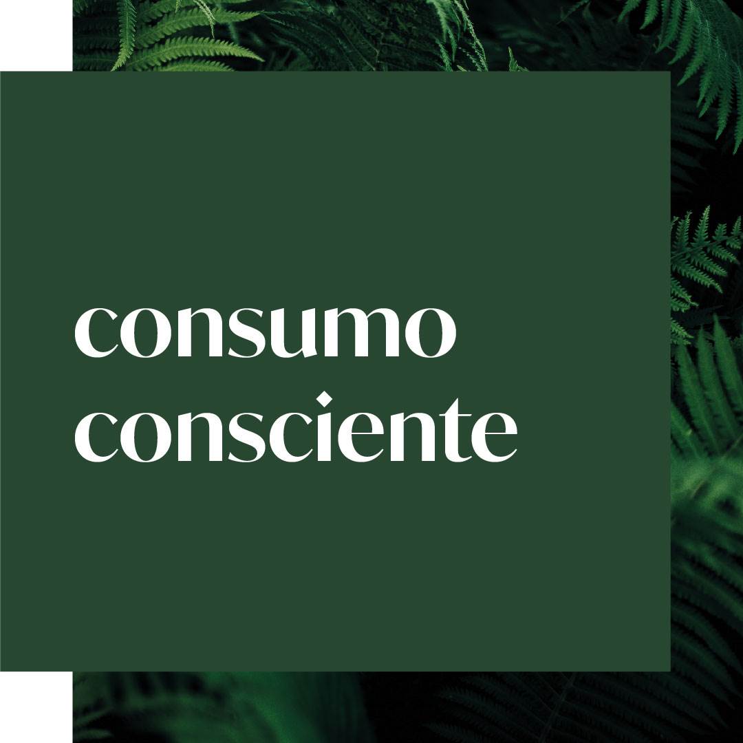 evolve_sustainability_ourimpact