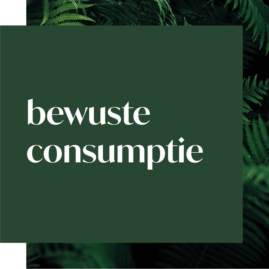 evolve_sustainability_ourimpact