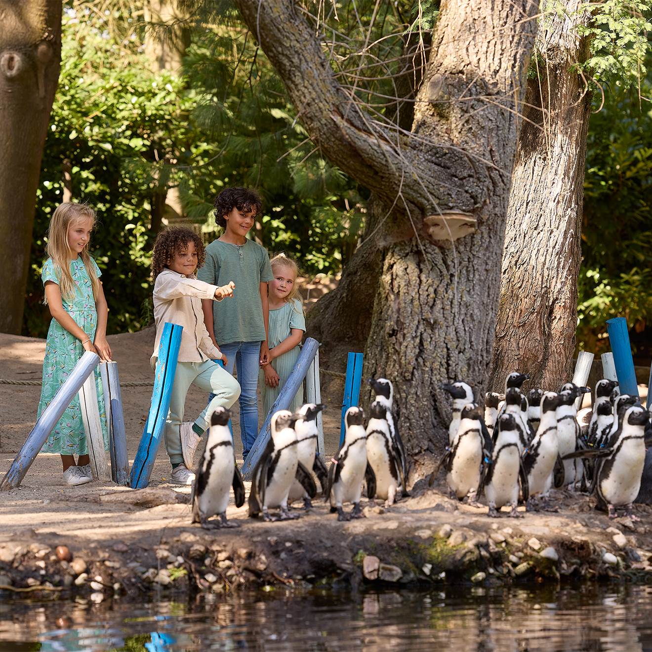 ZOO PARC